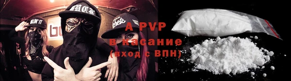 apvp Богородицк